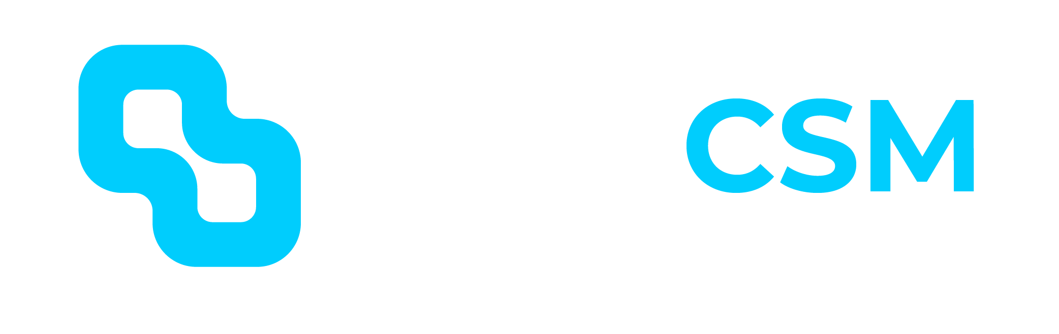 nexacsm-logo