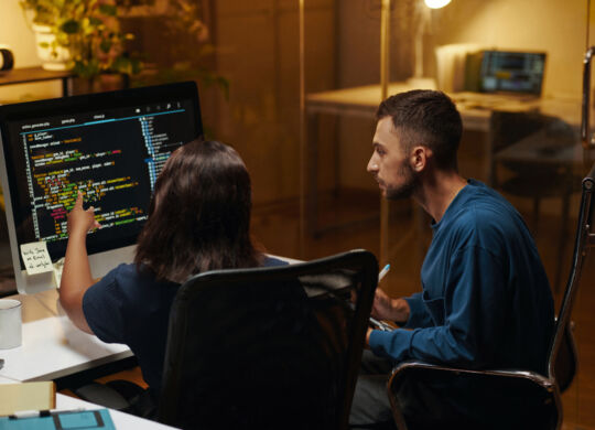 Developers Searching for Bugs